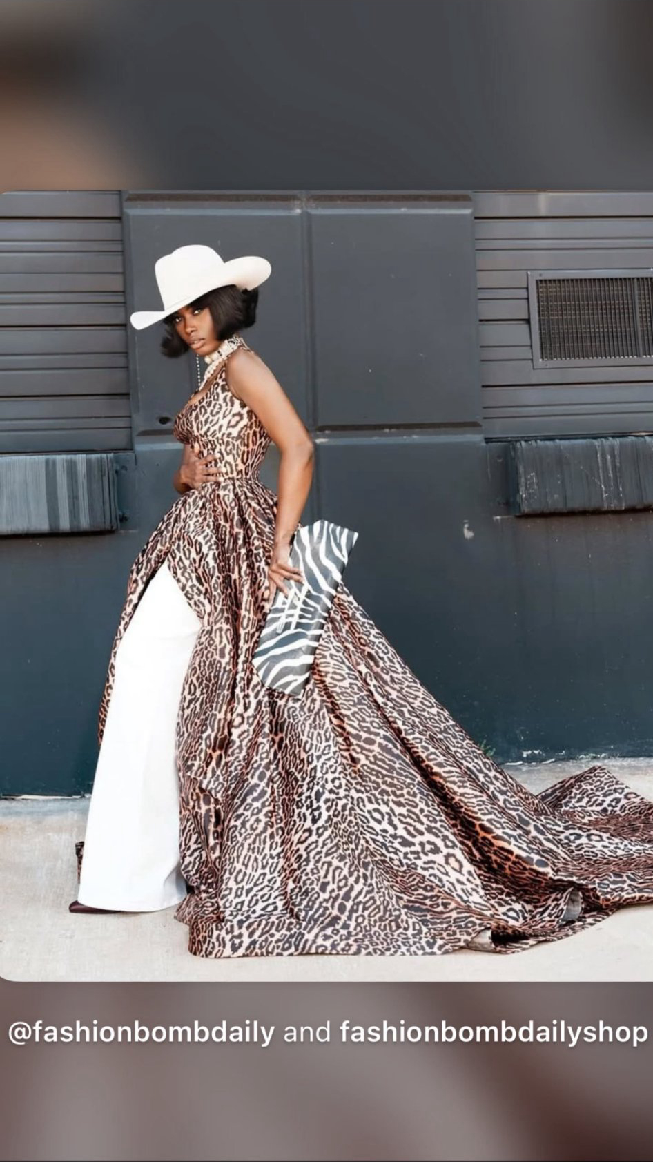 FashionBomb — leopard gown, zebra clutch