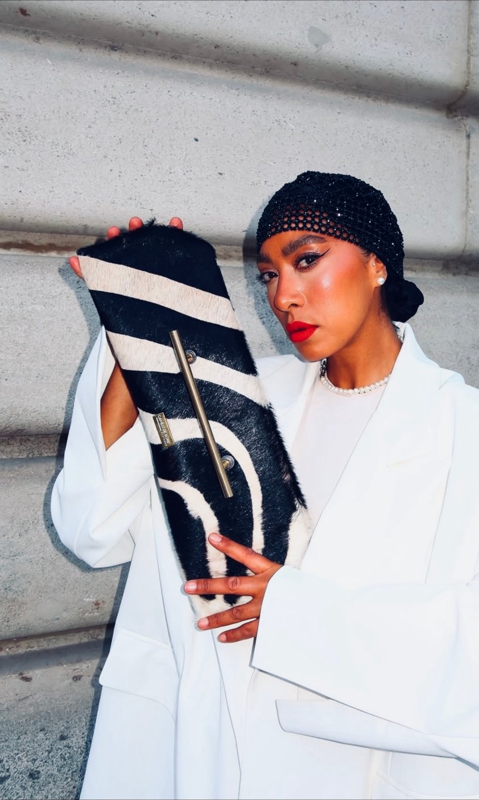 Paris — zebra clutch close-up
